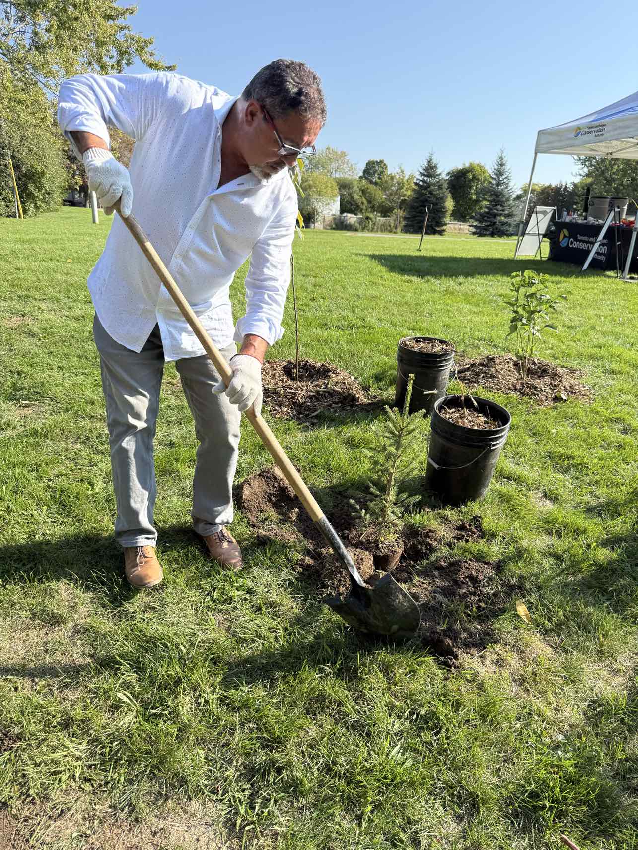 Pat Fortini planting a tree at a Toronto and Region Conservation Authority event